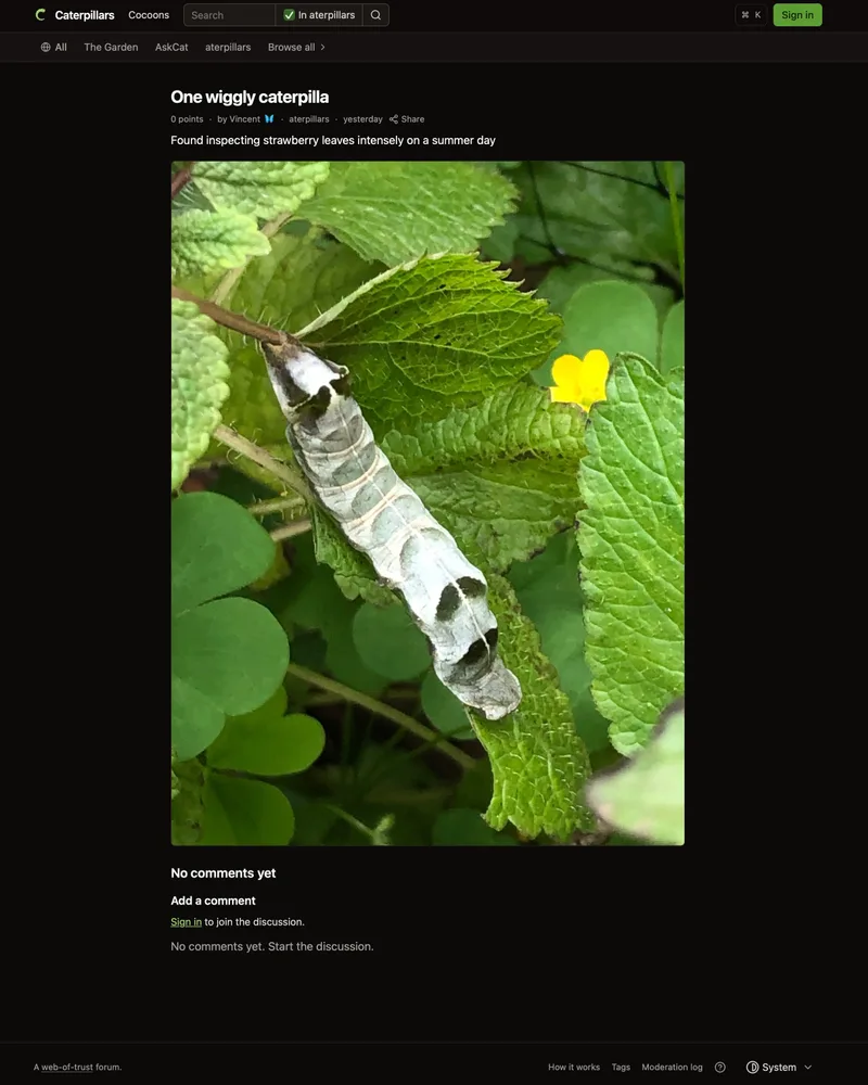 Caterpillars screenshot 4
